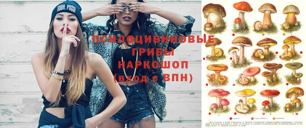 твердый Алексеевка