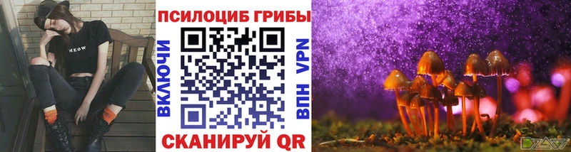 Псилоцибиновые грибы Magic Shrooms  Пласт 