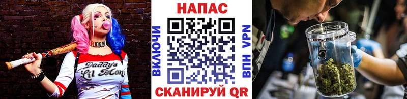 Канабис план Пласт